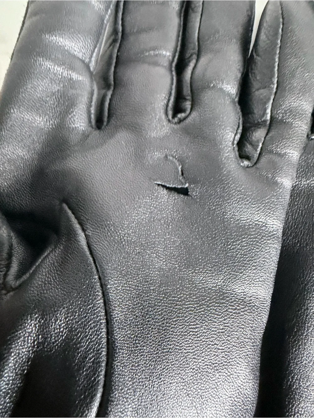 Leather and Suede Reptile-Accent Gloves - Black